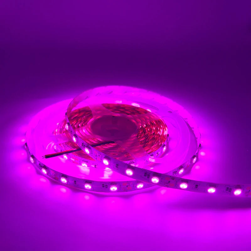 SMD5050 LED Strip Light, 5m Roll | 12V DC | 60 LEDs/m | 12W/m | Standard Brightness | Red / Green / Blue / Yellow / Pink / Icy Blue | IP00 / IP65 / IP67