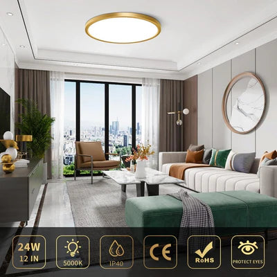 12 Inch 24W White / Gold Round Ceiling Light – AC 110–130V | 3000K / 4500K / 5000K / 6500K | Flush Mount Ceiling Light for Modern Home Lighting | 1-Pack – Local Stock (US)
