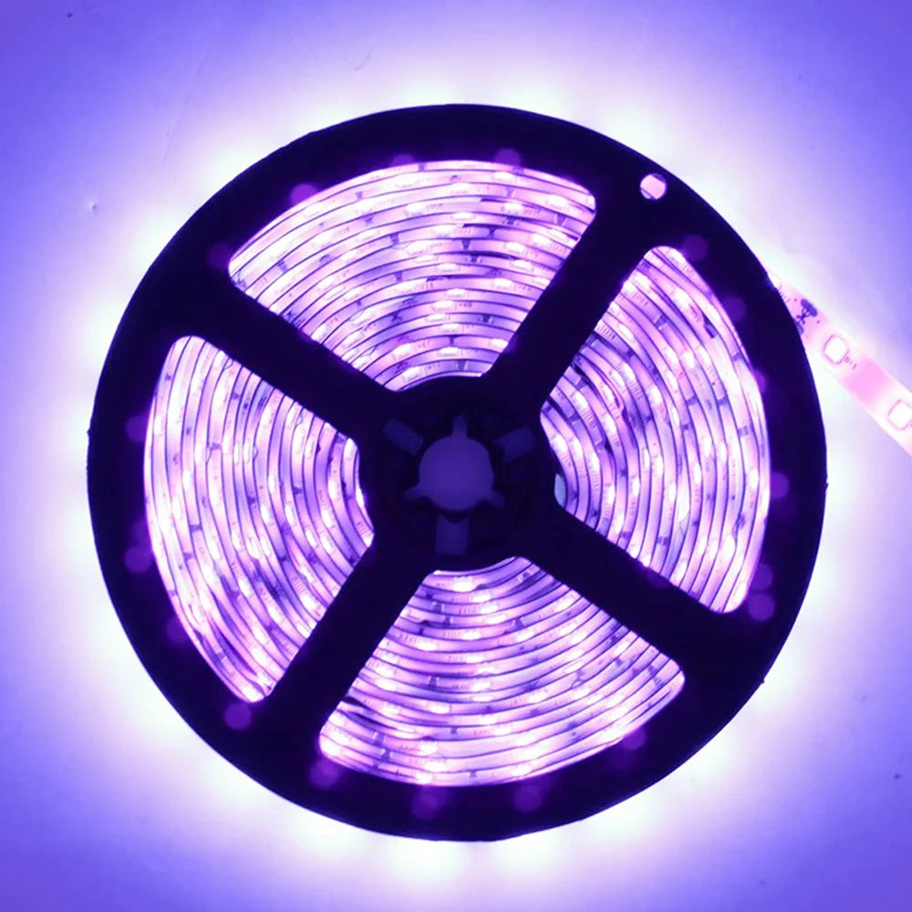 LightingWill 380–385nm SMD5050 UV LED Strip Light – 30/60/120 LEDs/m, 5M (16.4FT), DC12V, Non-Waterproof/IP67