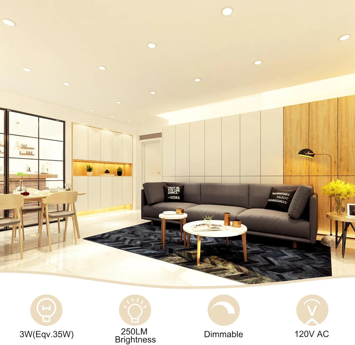 ECO-1 Series Frosted LED Downlight – White Housing – TRIAC Dimmable – 3W/5W/7W/9W – 4-Pack/8-Pack/10-Pack/12-Pack/20-Pack/32-Pack – 2700K–6000K – 100–130V / 200–240V