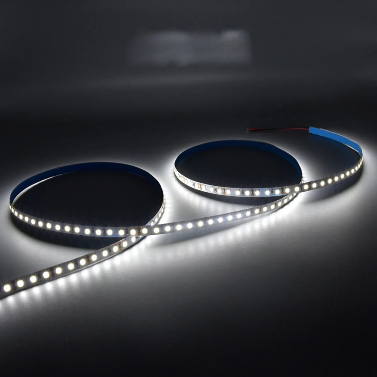 SMD2835 LED Strip Light, 5m Roll | 12V / 24V DC | 120 LEDs/m | 12W/m | White 3000K / 4000K / 6000K | 8mm PCB | IP00 / IP65 / IP67