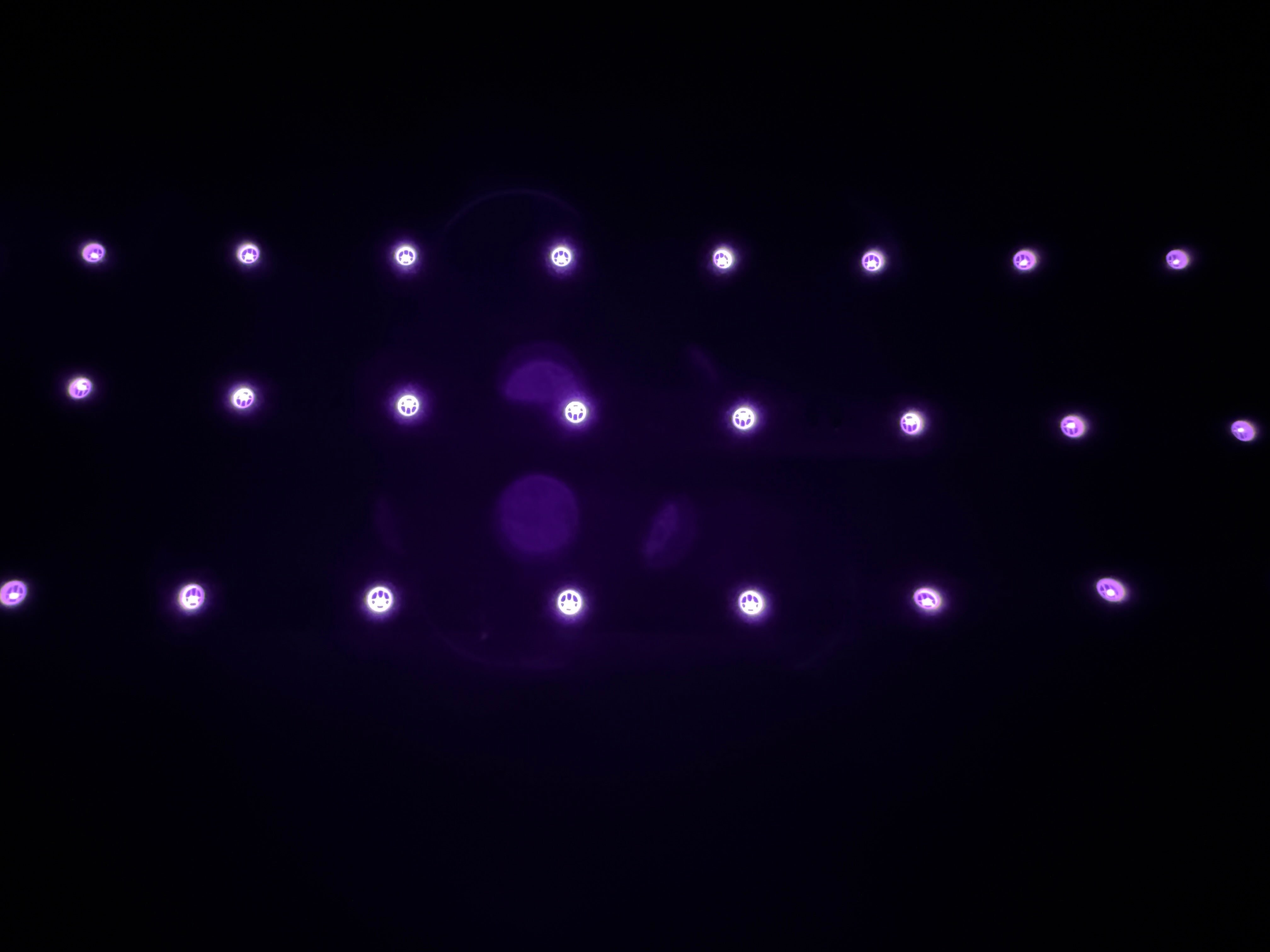 810nm SMD5050 DC12V Infrared LED Strip Light – High Power Near IR for Therapy, 30/60/120 LEDs/m, 5 Meters, IP00/IP65