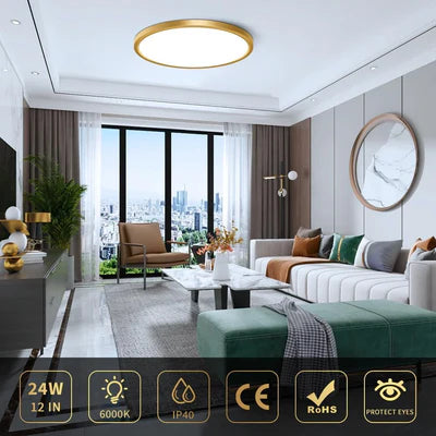 12 Inch 24W White / Gold  Round Ceiling Light – AC 110–130V | 3000K / 4500K / 5000K / 6500K | Flush Mount Ceiling Light for Modern Home Lighting | 1-Pack – Local Stock (US)