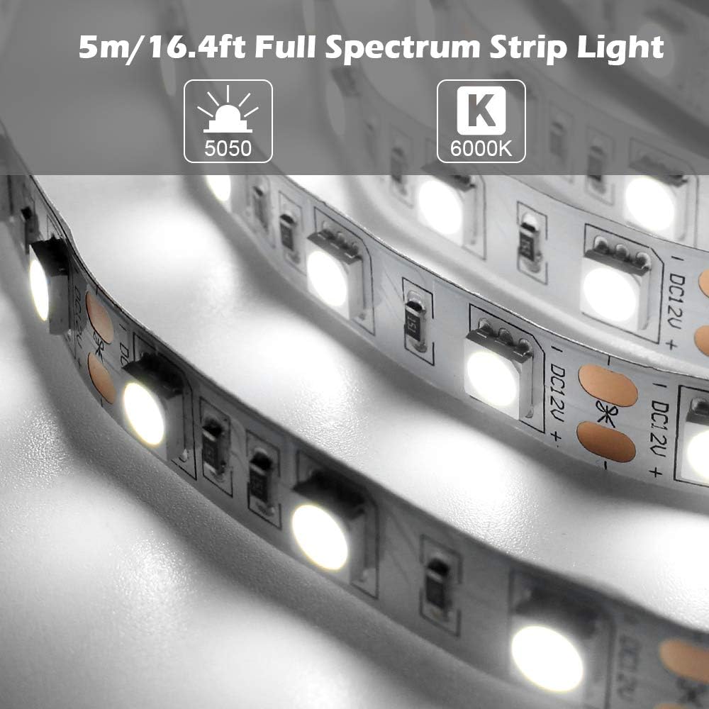 LightingWill Advanced Full Spectrum CRI97 LED Strip Light, Natural Sunlike Spectrum, SMD 5050 300LEDs 16.4Ft/5M Daylight White 5000K-6000K DC12V 72W, Non-Waterproof