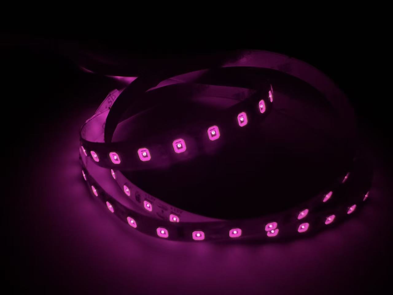 810nm SMD2835 DC12V Infrared LED Strip Light – Near IR for Therapy & Circulation, 60/120/240 LEDs/m, 5 Meters, IP00/IP65