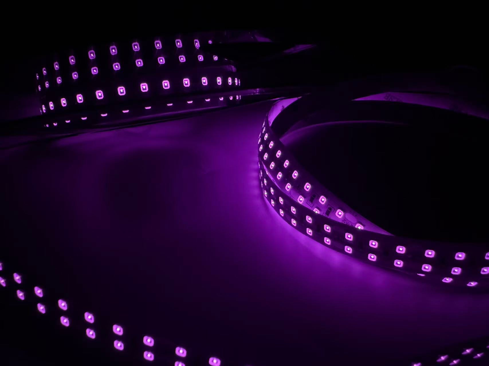 810nm SMD2835 DC12V Infrared LED Strip Light – Near IR for Therapy & Circulation, 60/120/240 LEDs/m, 5 Meters, IP00/IP65